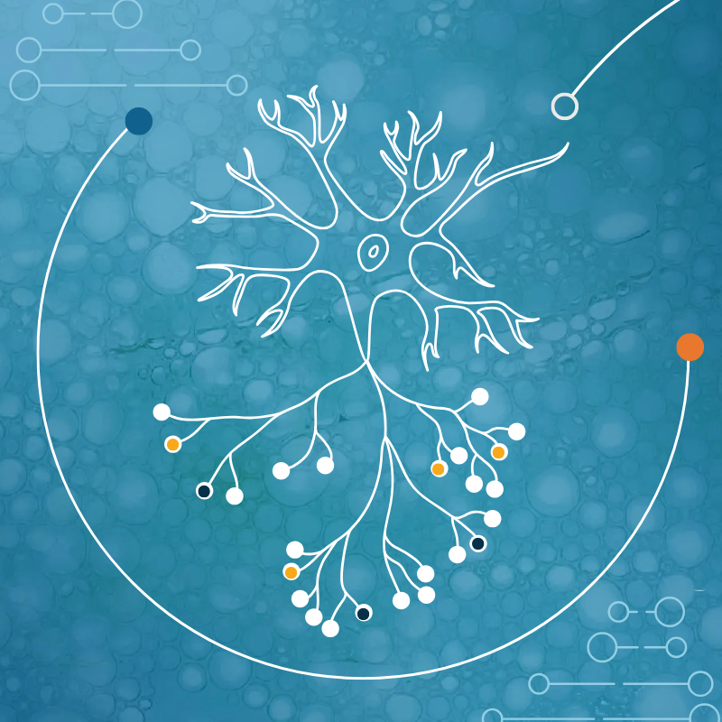 Foundational AI